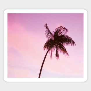 Palmtree pink Sticker